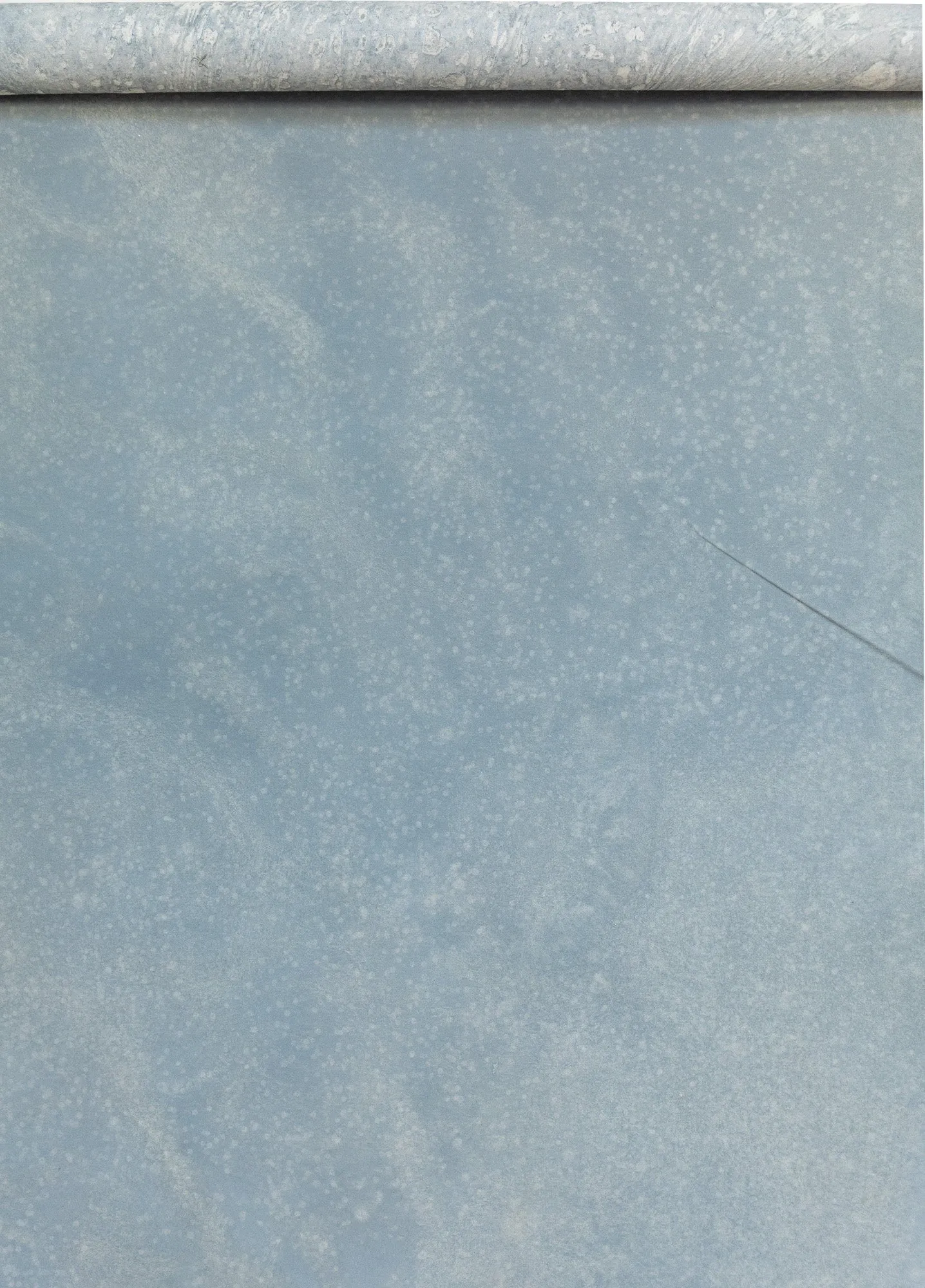 Borrowed Light Blue #0755 Medium Painted Canvas Backdrop