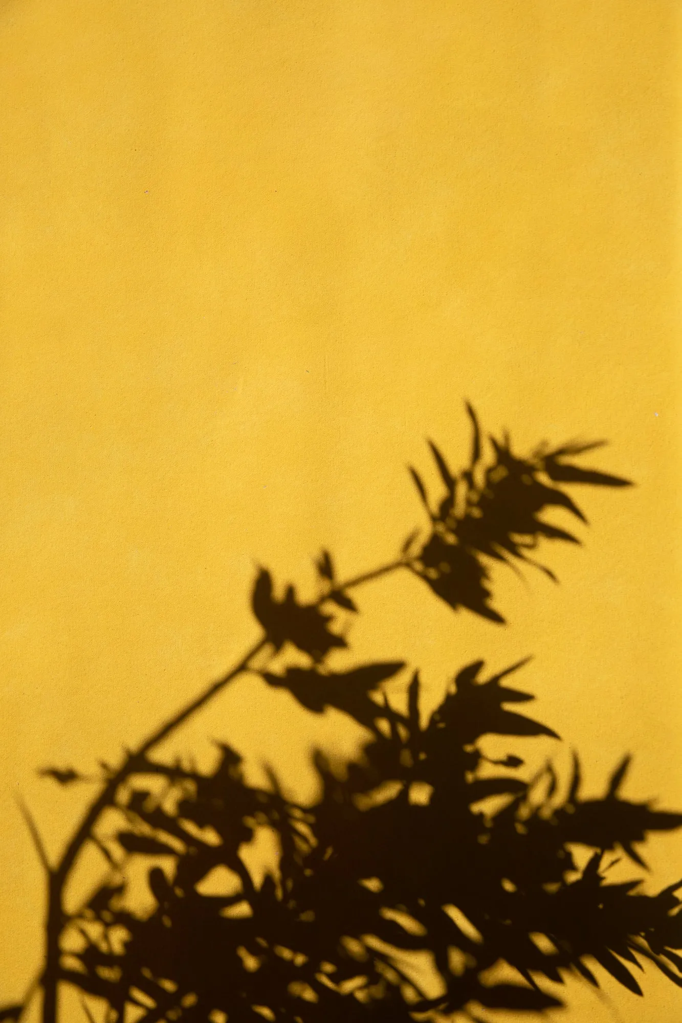 Meyer #0360 // *Odd Large Hand-Painted Canvas Backdrop