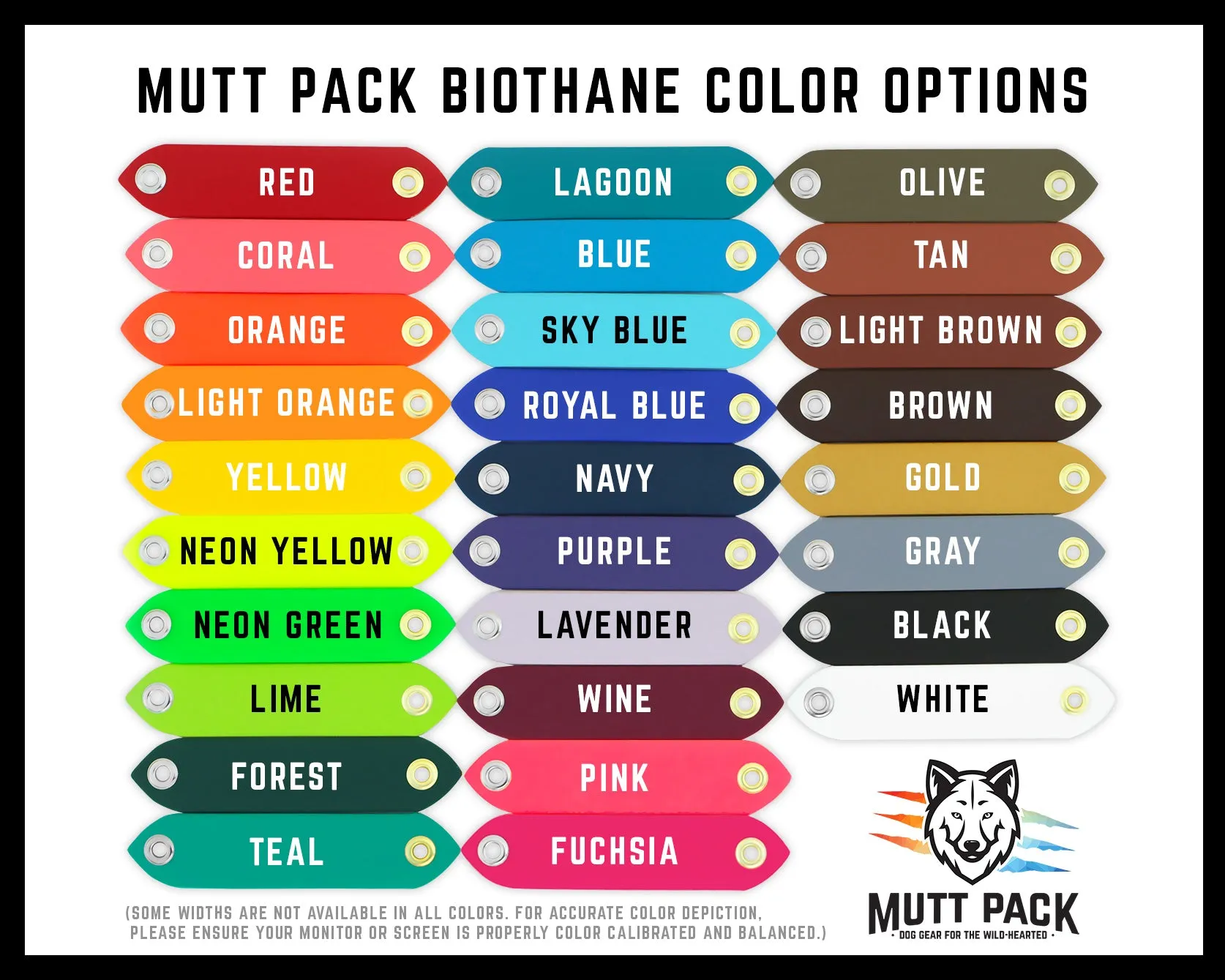 Multi-Tone BioThane® Dog Leash