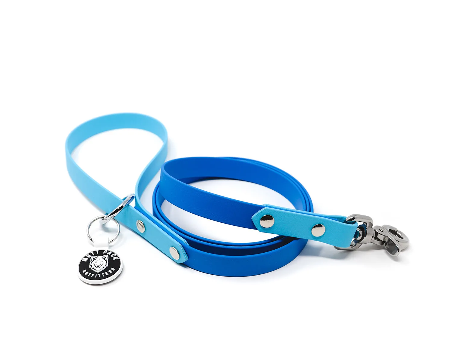 Multi-Tone BioThane® Dog Leash