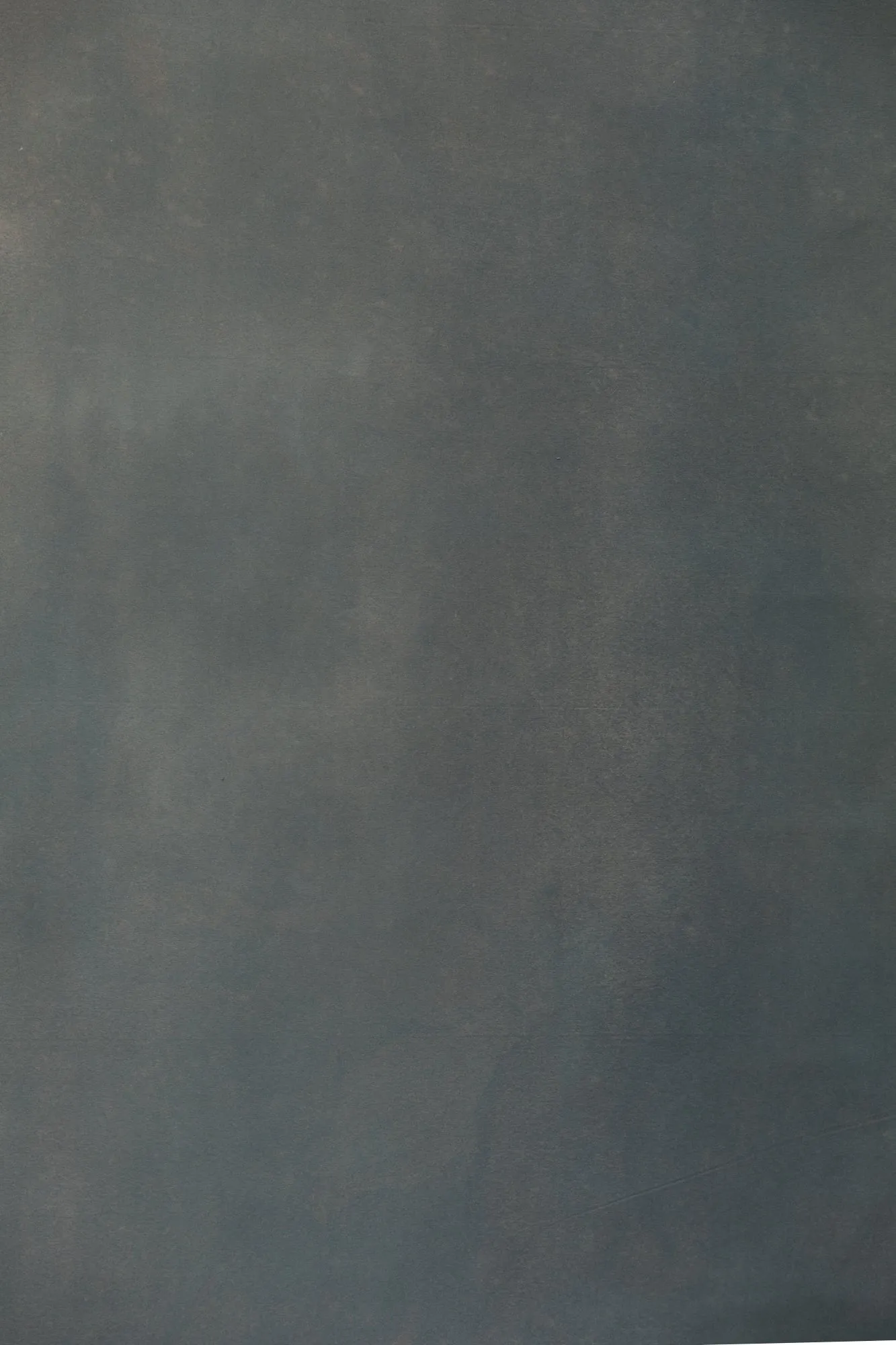 Tall Grass #0750 XLarge Painted Canvas Backdrop