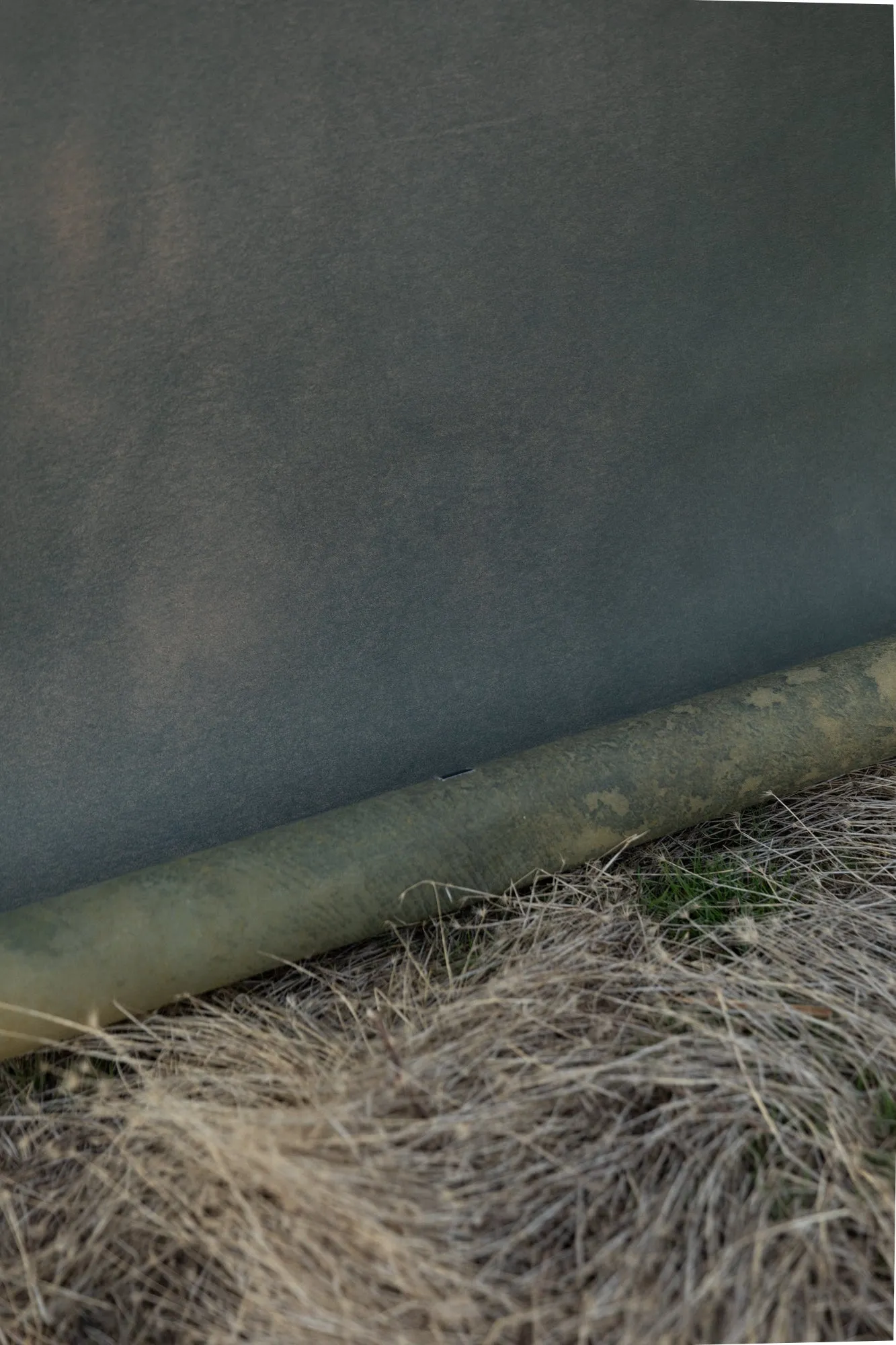 Tall Grass #0750 XLarge Painted Canvas Backdrop