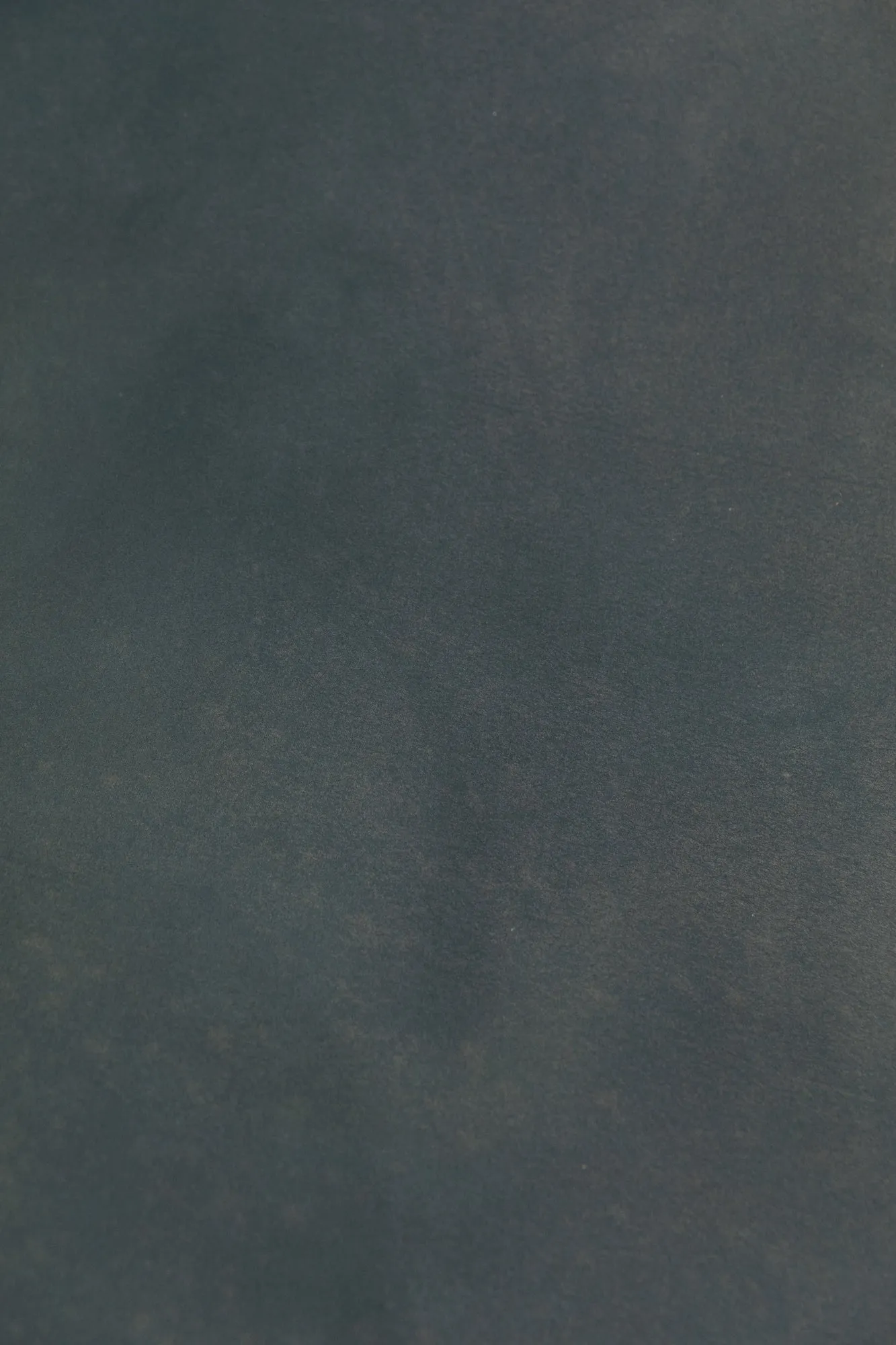 Tall Grass #0750 XLarge Painted Canvas Backdrop
