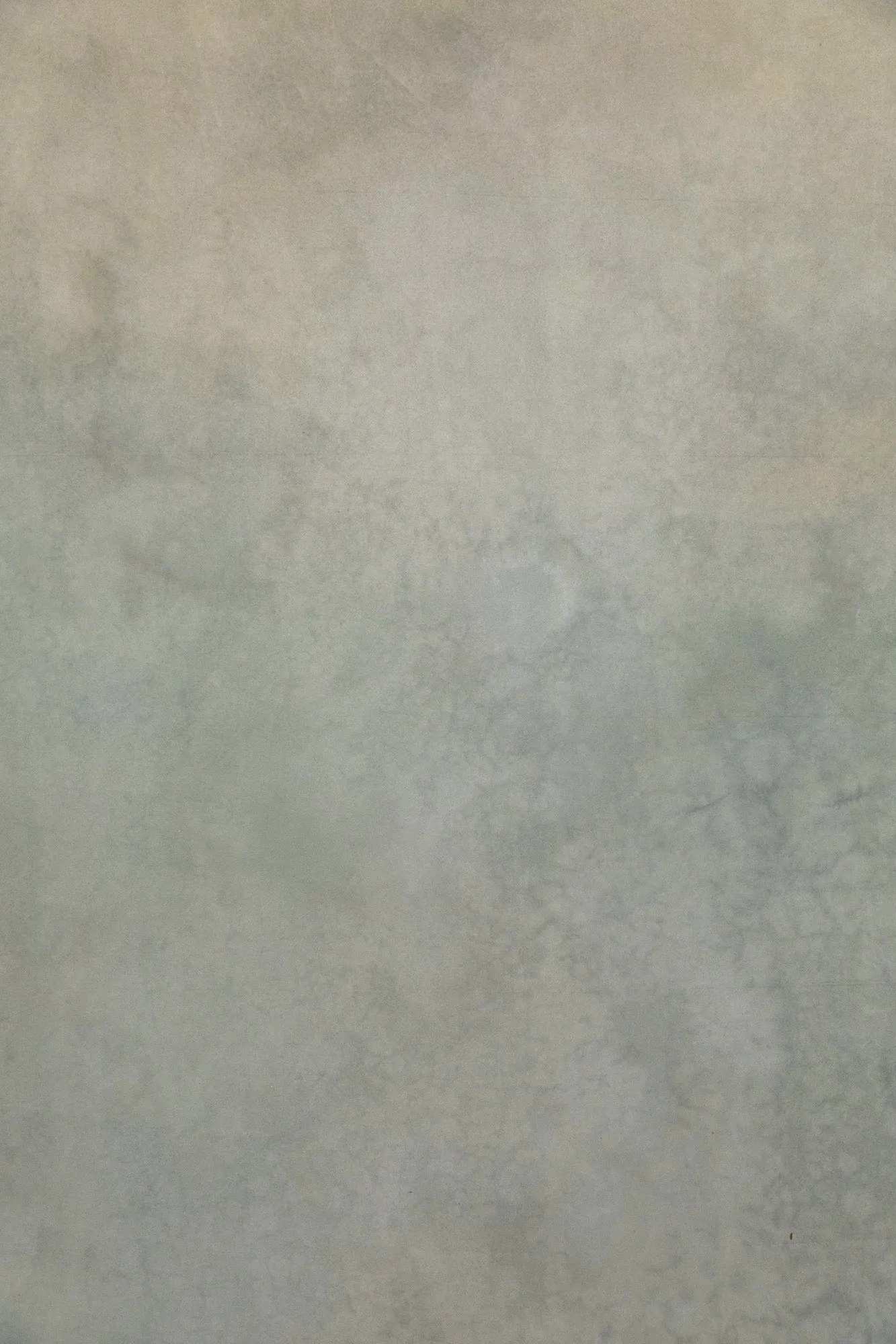 Verte #0747 XLarge Painted Canvas Backdrop
