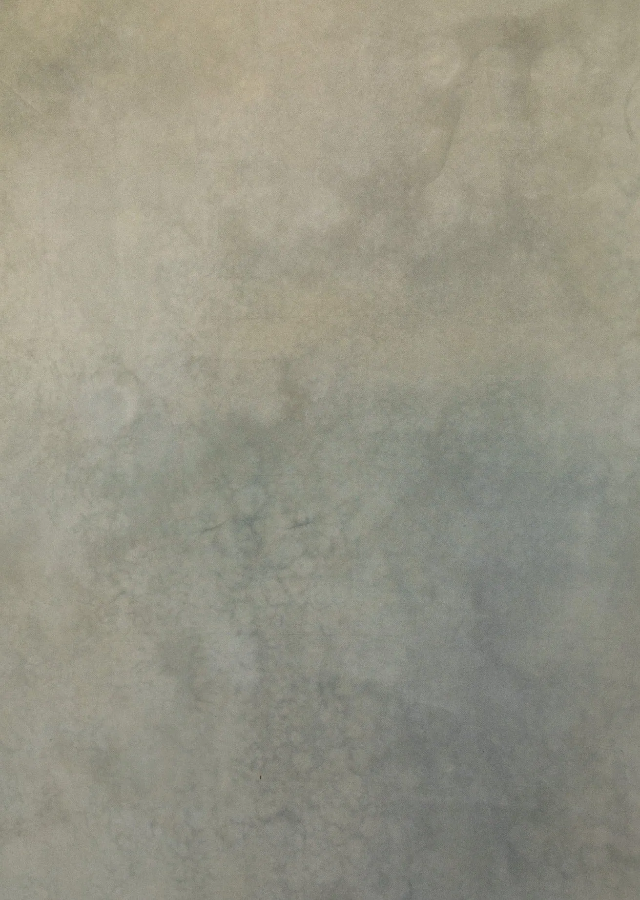 Verte #0747 XLarge Painted Canvas Backdrop