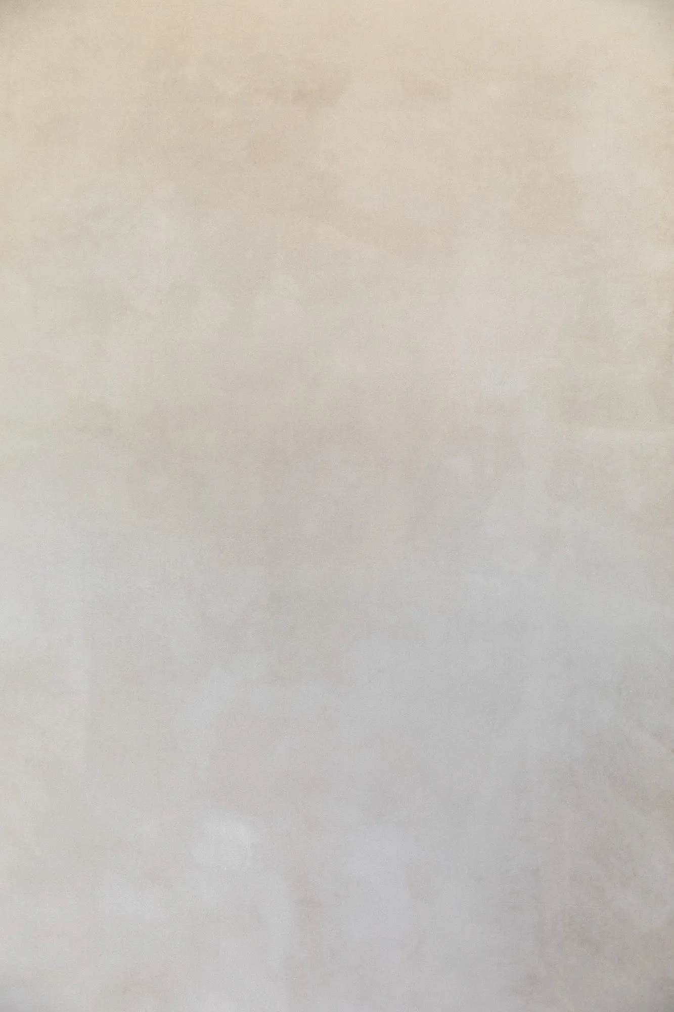 Warm Whites #0751 XLarge Painted Canvas Backdrop